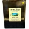 Larsen Pinot Grigio Wine Kit
