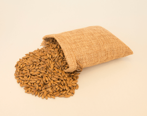 Premium wine Store -Premium wine Store s l1200