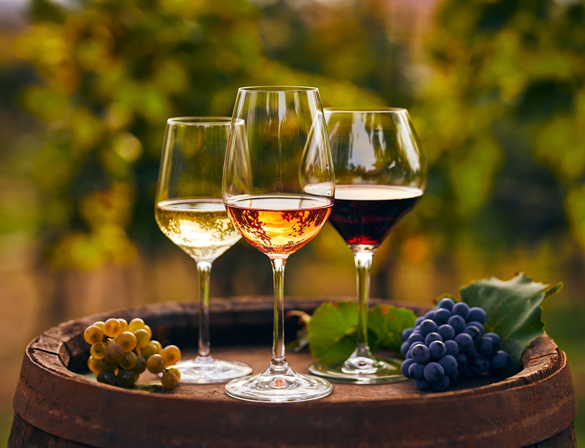 Premium wine Store -Premium wine Store wine vineyard 5